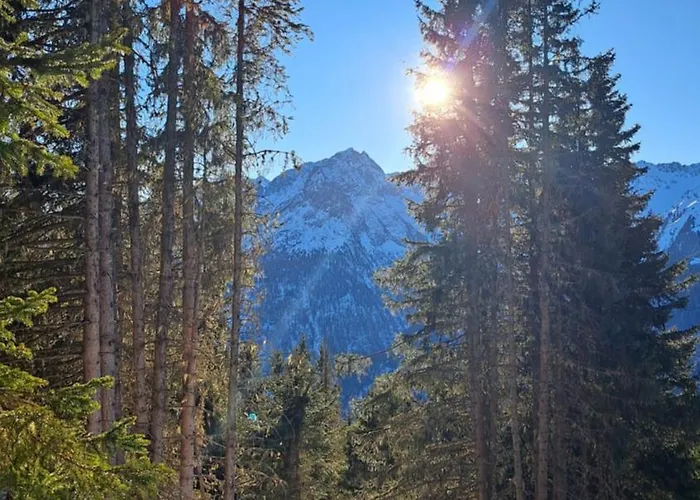 Resi Appartement Niederthai